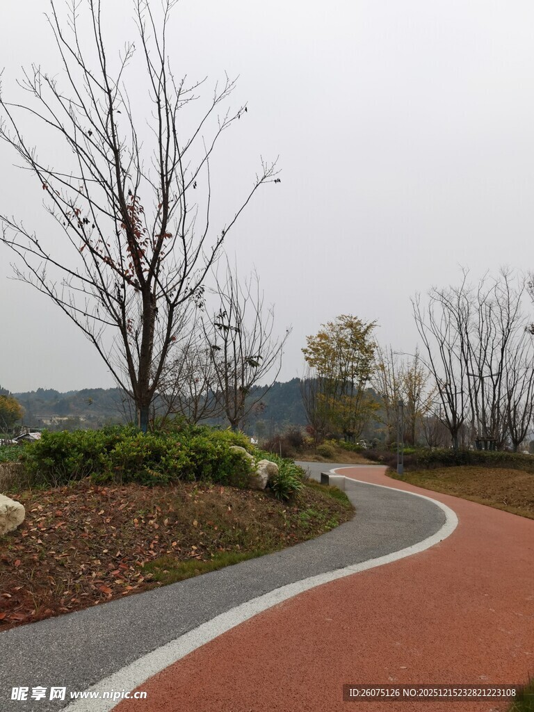 蜿蜒多彩的公园步道景观