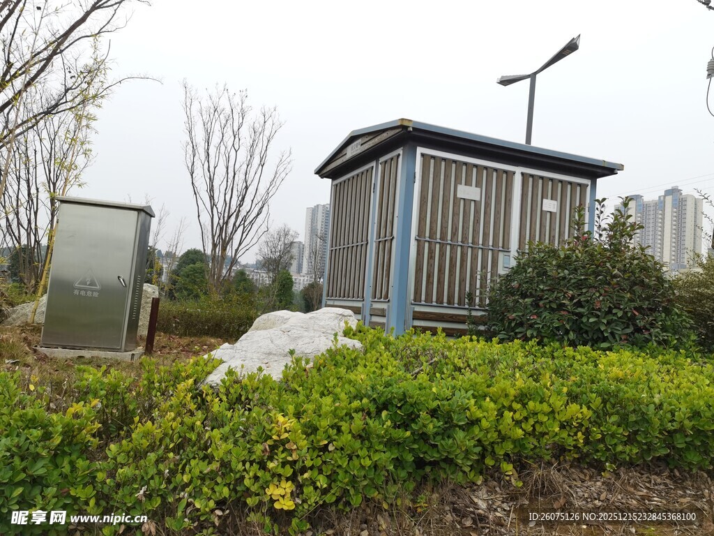 户外小屋旁的绿植景观