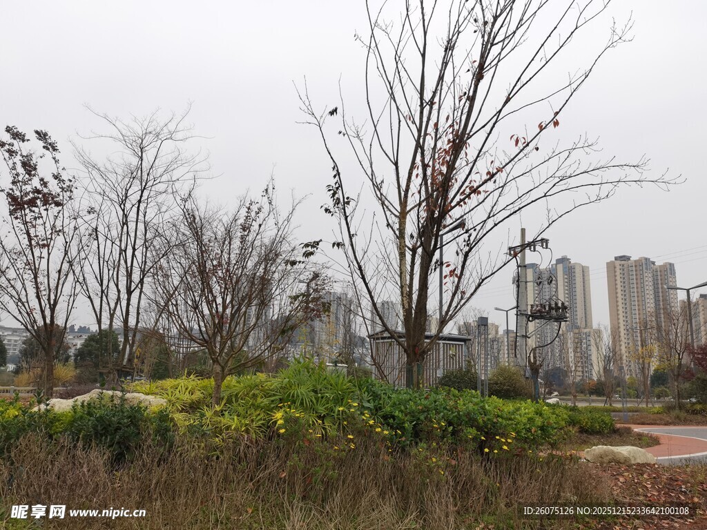城郊冬日公园景致