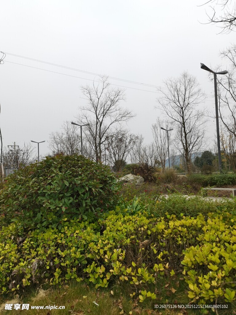 郊外春日花草树木景观