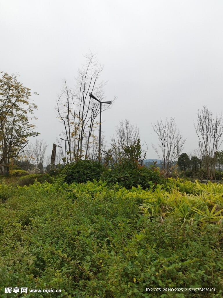 田野中的风力发电机