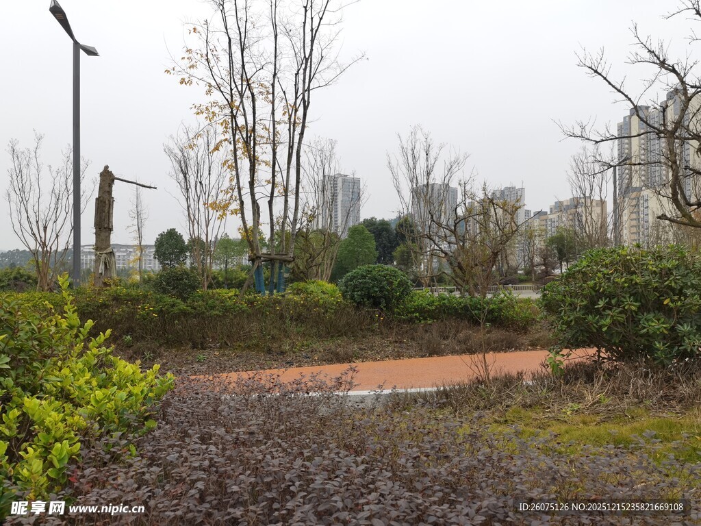 城市公园中的绿植景观