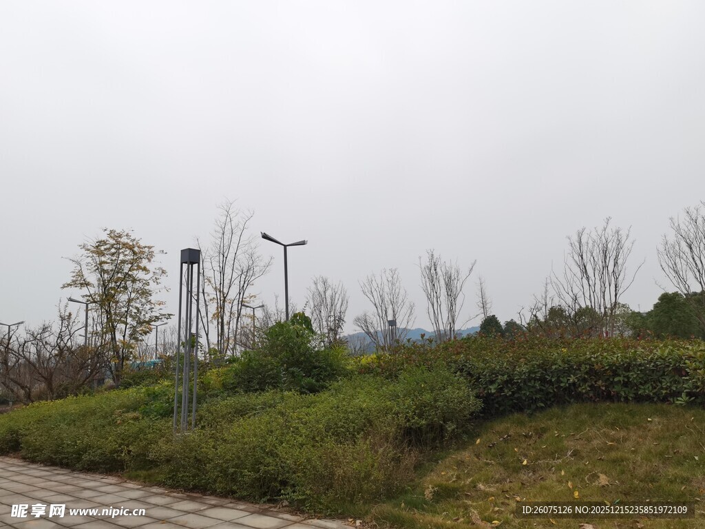 户外草地与路灯景观