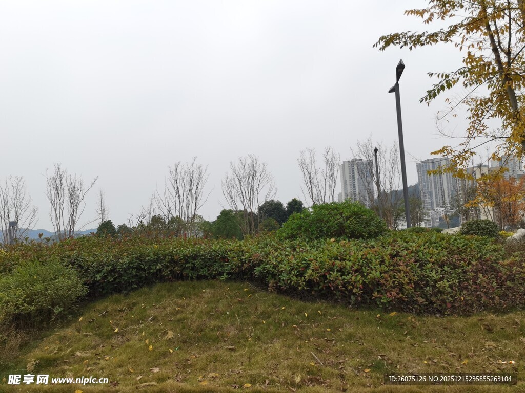 城市中的绿地景观