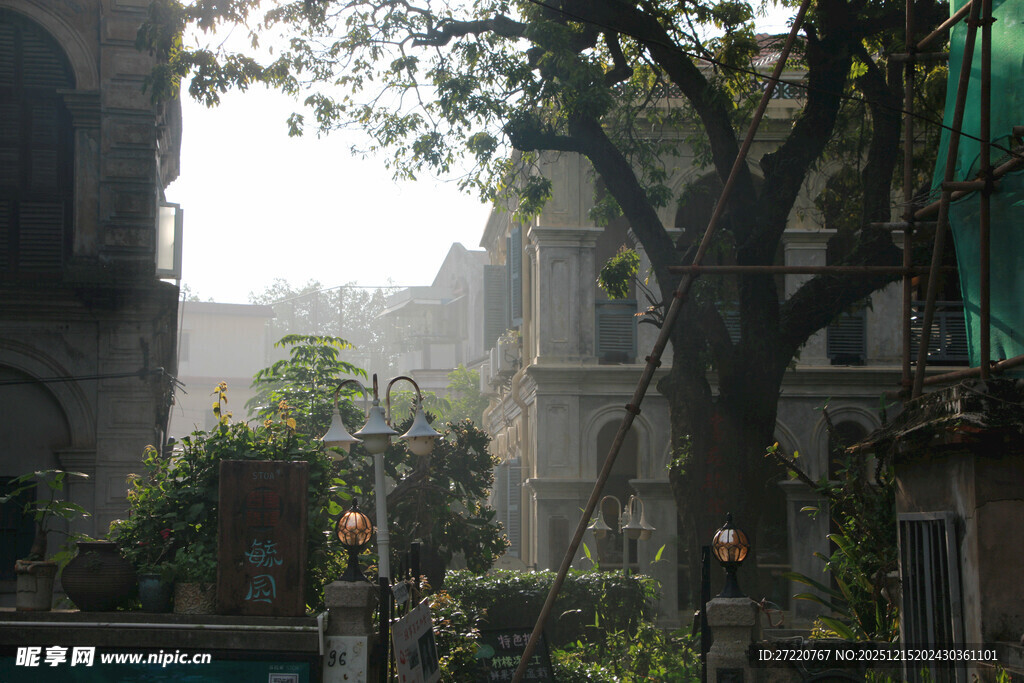 鼓浪屿老旧街道旁的绿植与建筑