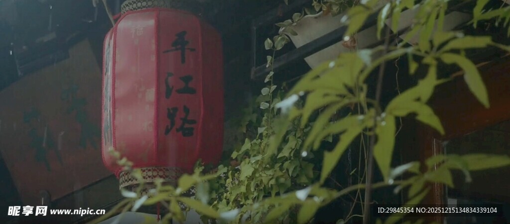 中式红灯笼与绿植相映