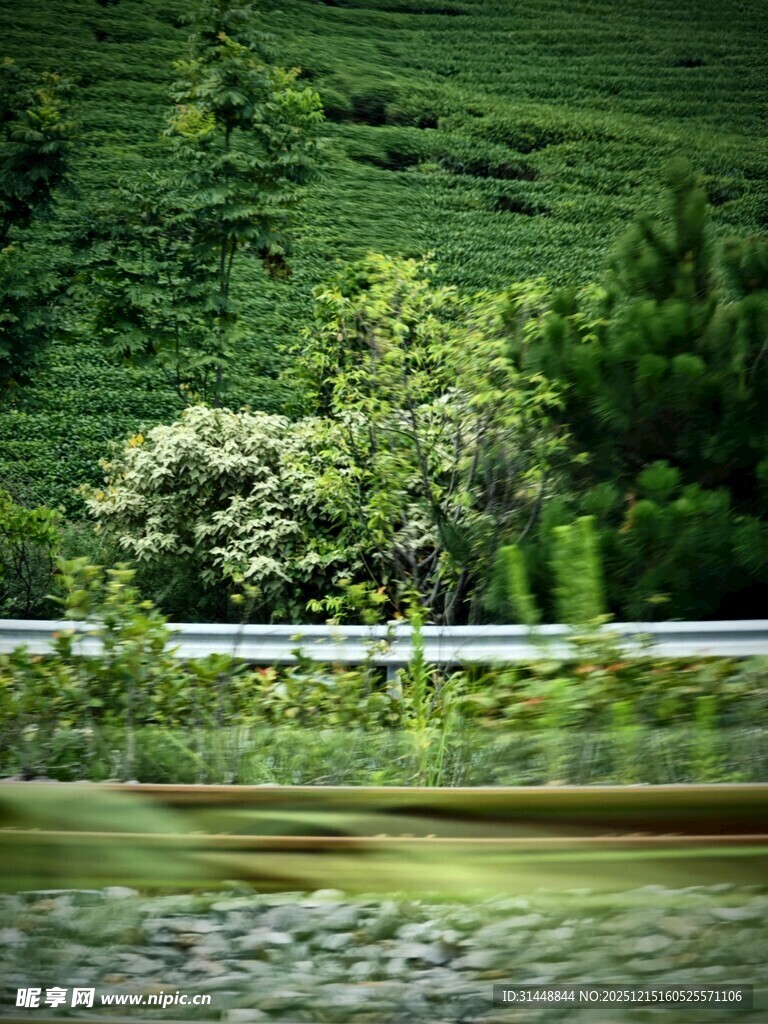 青山绿水旁的宁静景致
