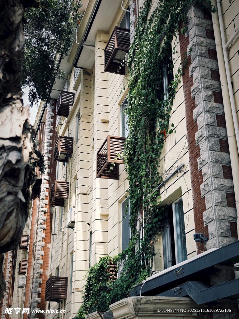 爬满绿植的老旧建筑外墙