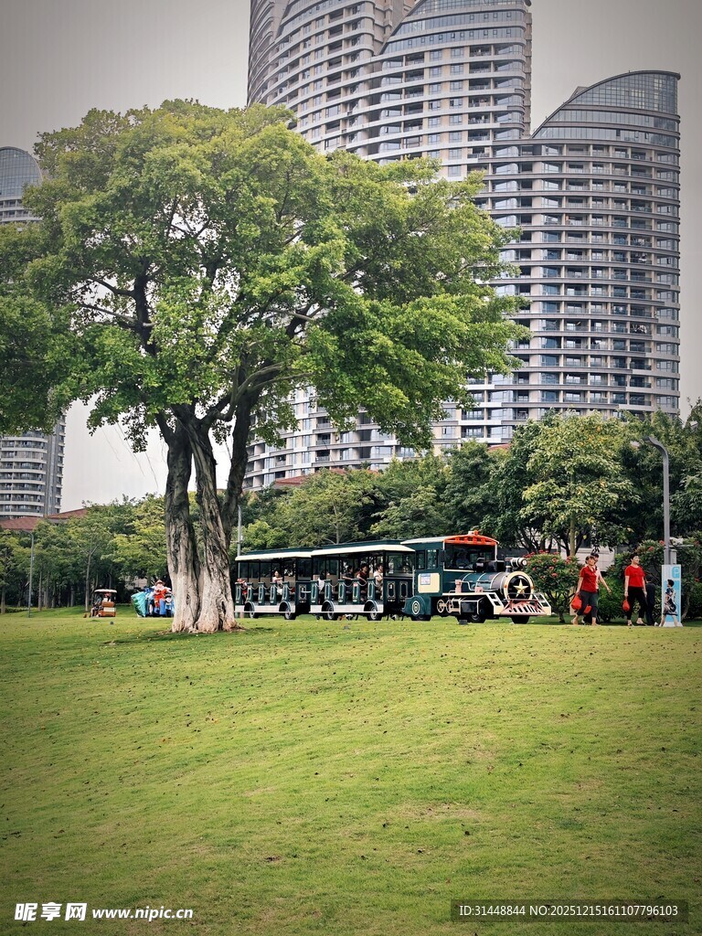 城市公园中的绿树与高楼