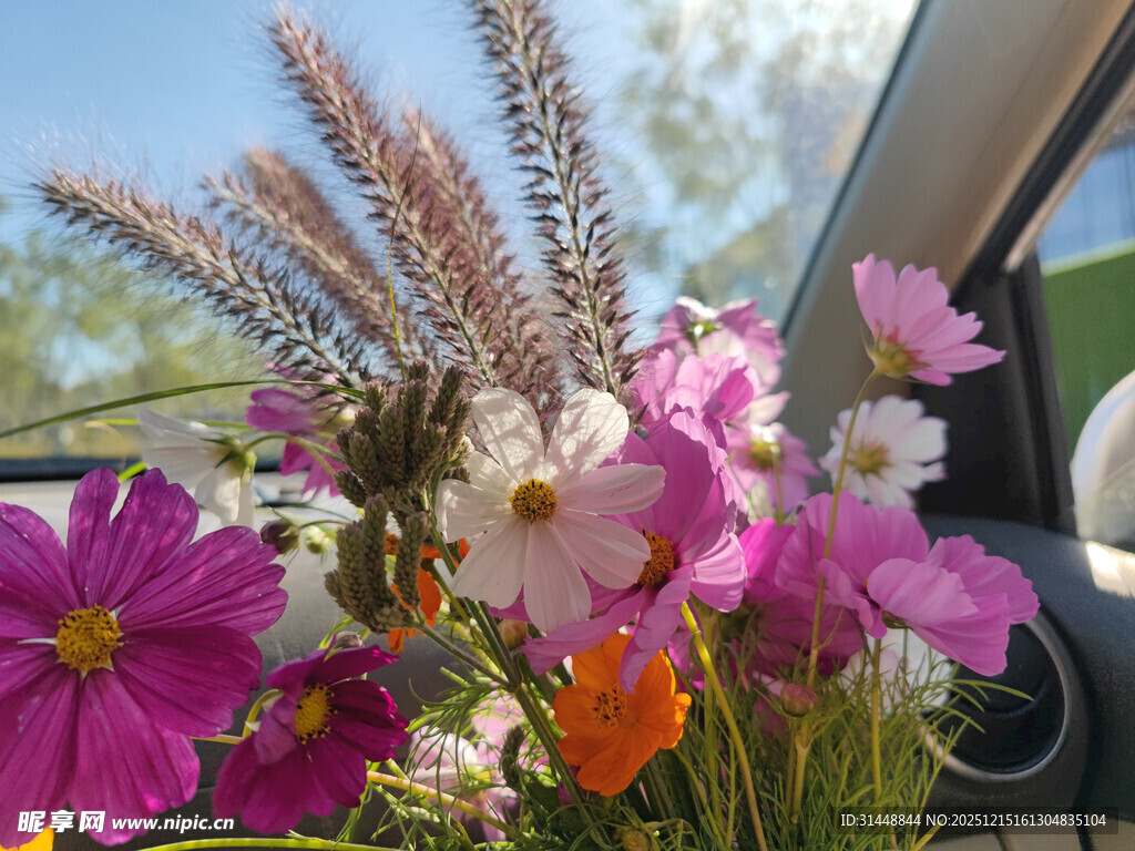 车内缤纷花卉装点小世界