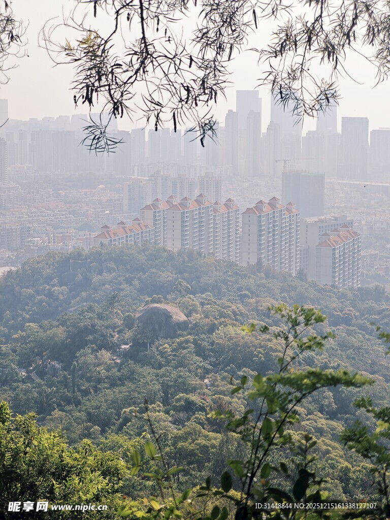 山林间远眺城市建筑群