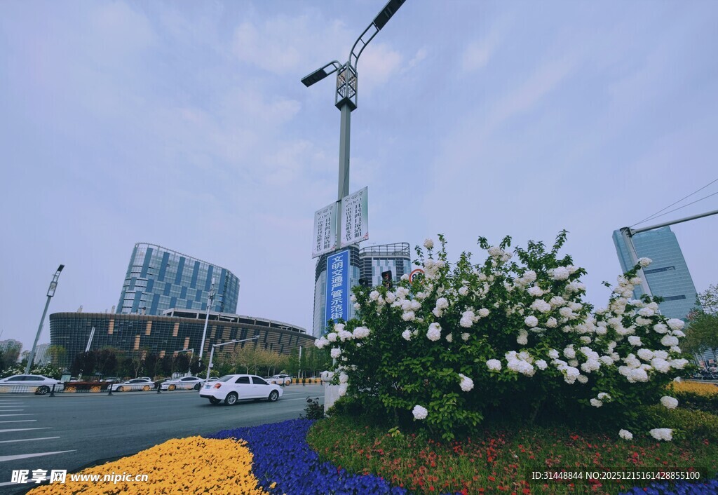 城市景观中的塔吊与花卉