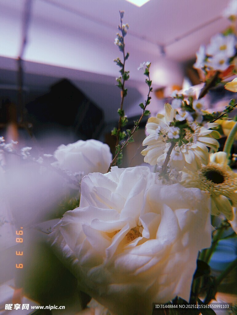 浪漫白色花卉装饰场景