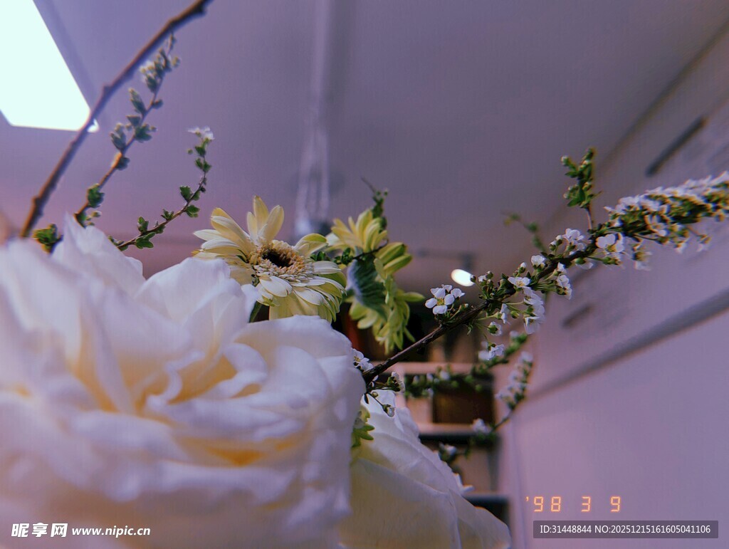 优雅白玫瑰与清新枝桠