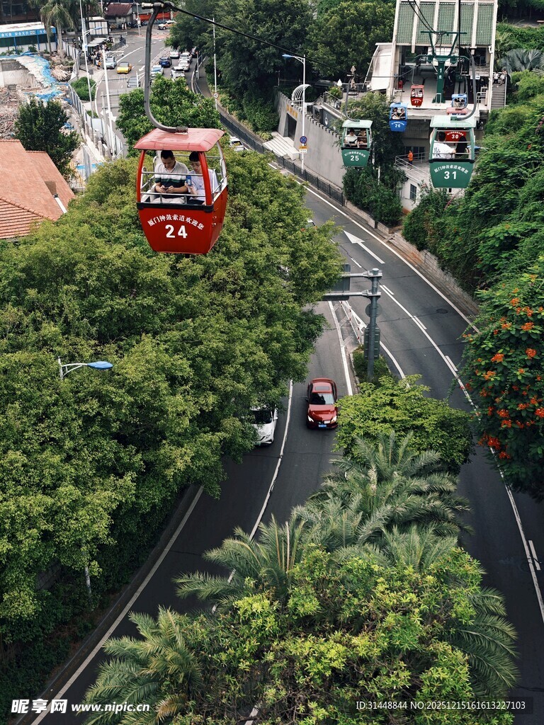 城市道路上的缆车与车辆