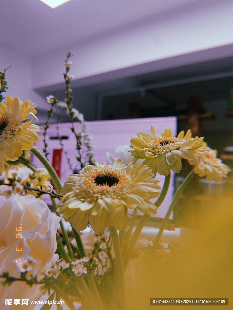 室内美丽绽放的黄色花卉