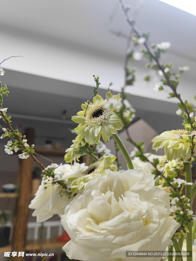 白色花卉静物特写