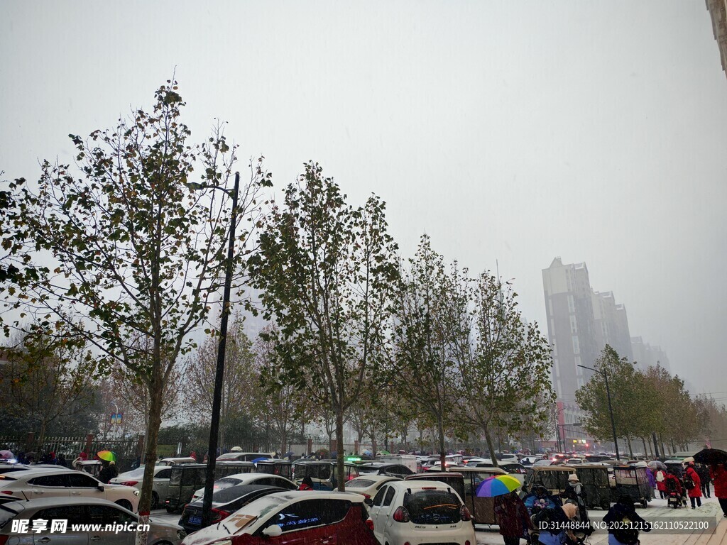 雾中城市街道景象