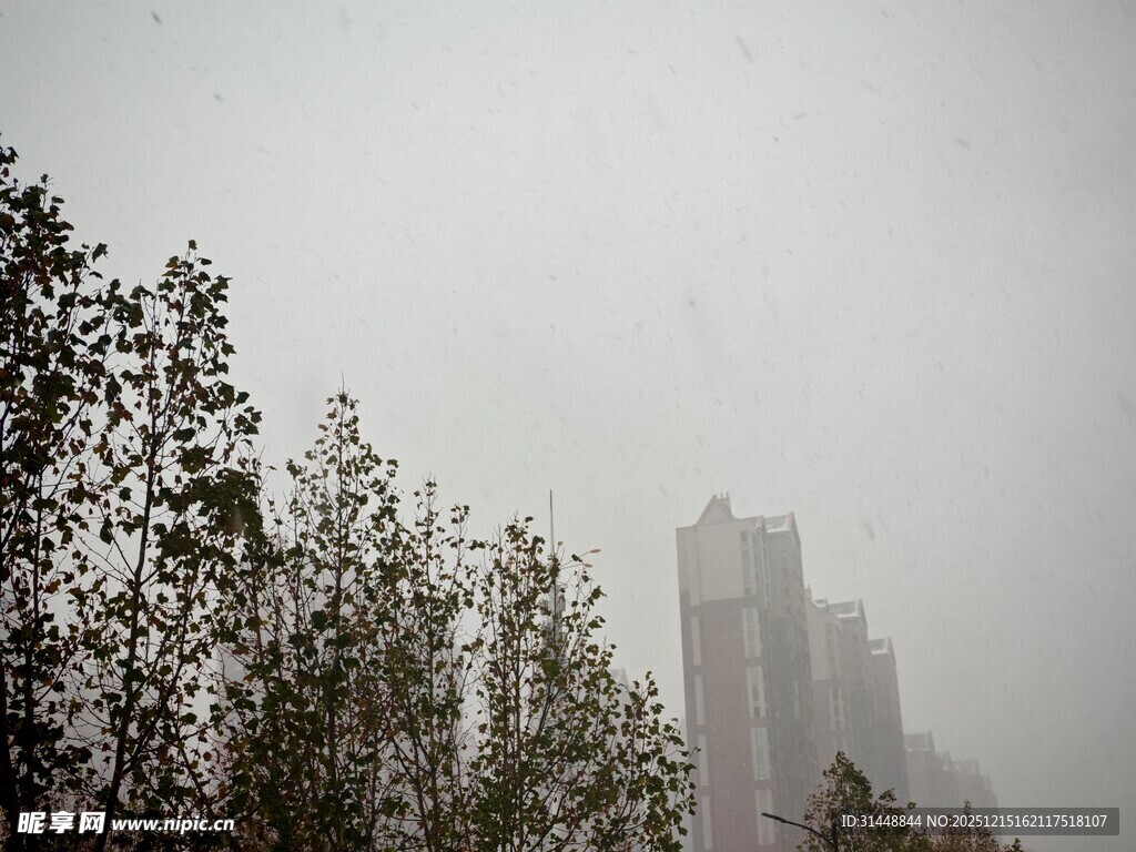 雾霾中的城市与树木
