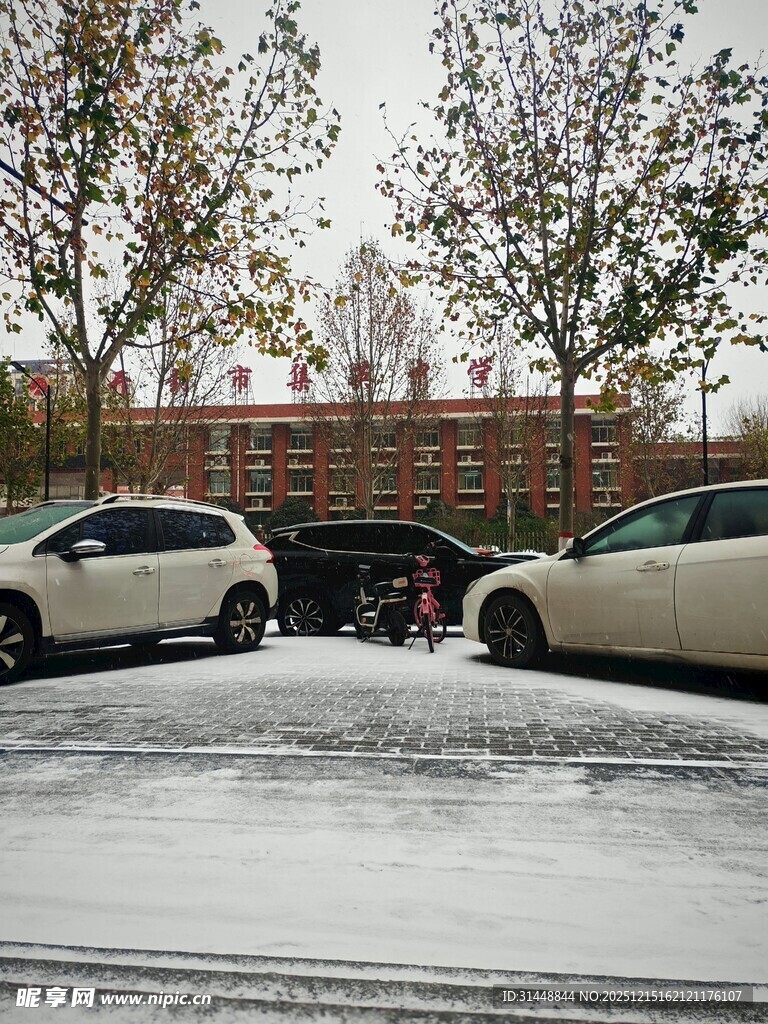 雪地中停放的两辆汽车