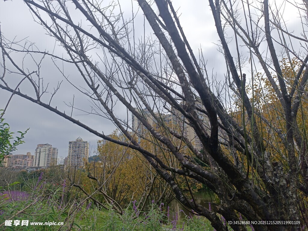 秋日城郊荒野景色