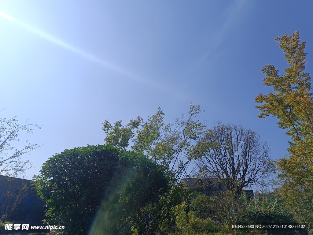 秋日蓝天与修剪绿植景观