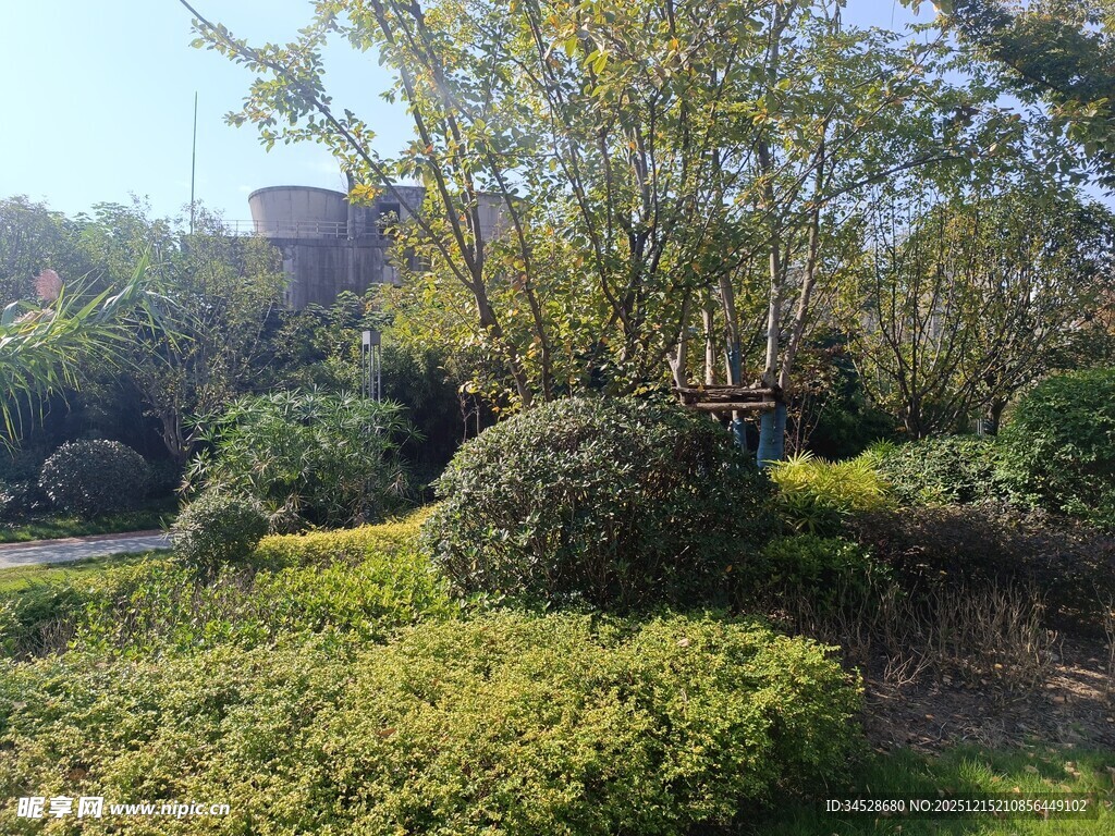 精致园林绿植景观