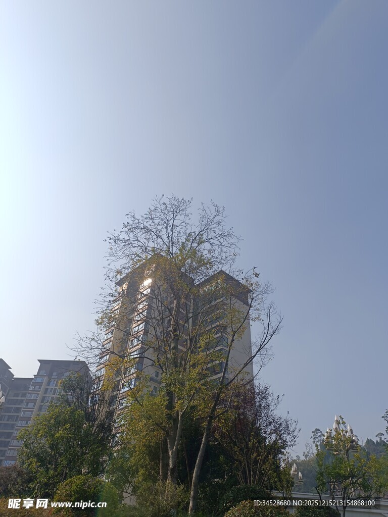 秋日小区旁的树木与建筑