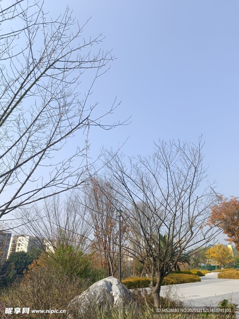 冬日城郊萧瑟景致