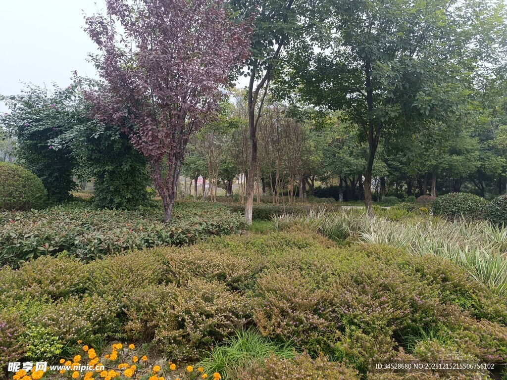 秋日多彩园林景观