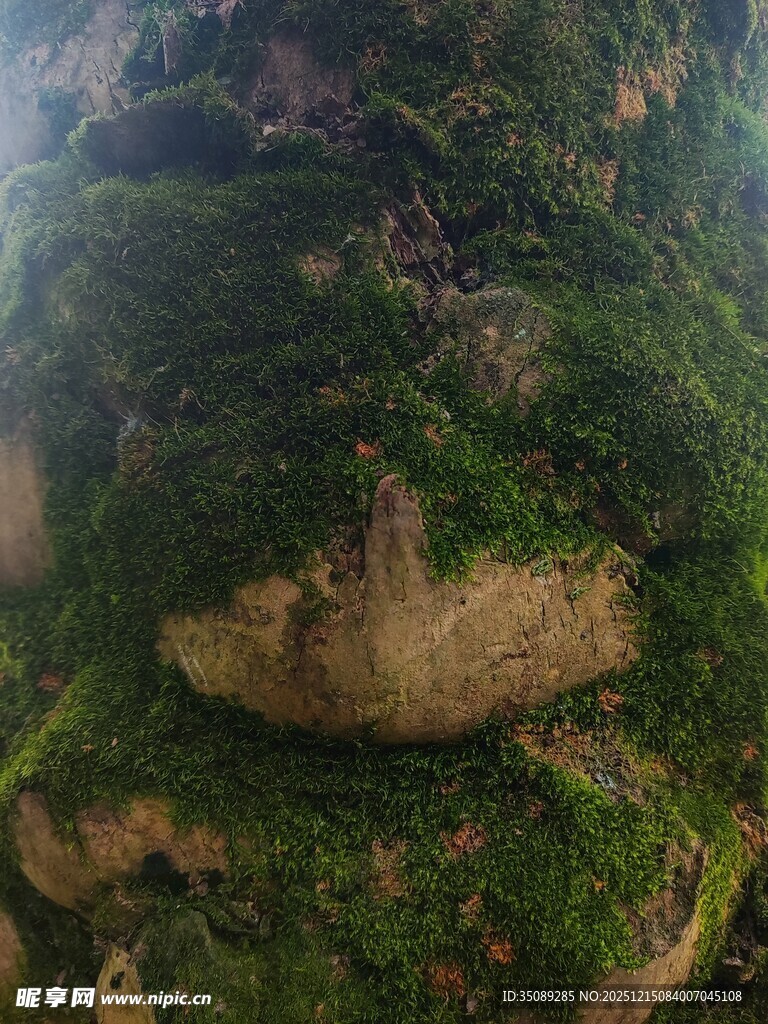 翠绿覆盖的嶙峋山石