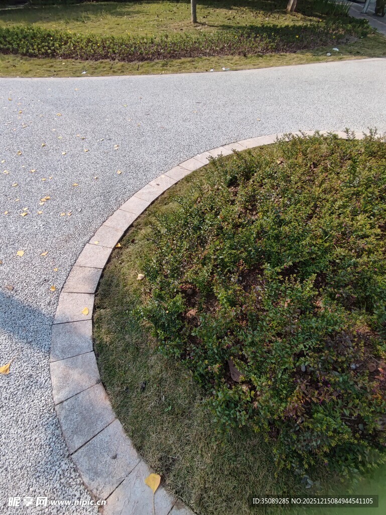 弯曲小径旁的绿植景观