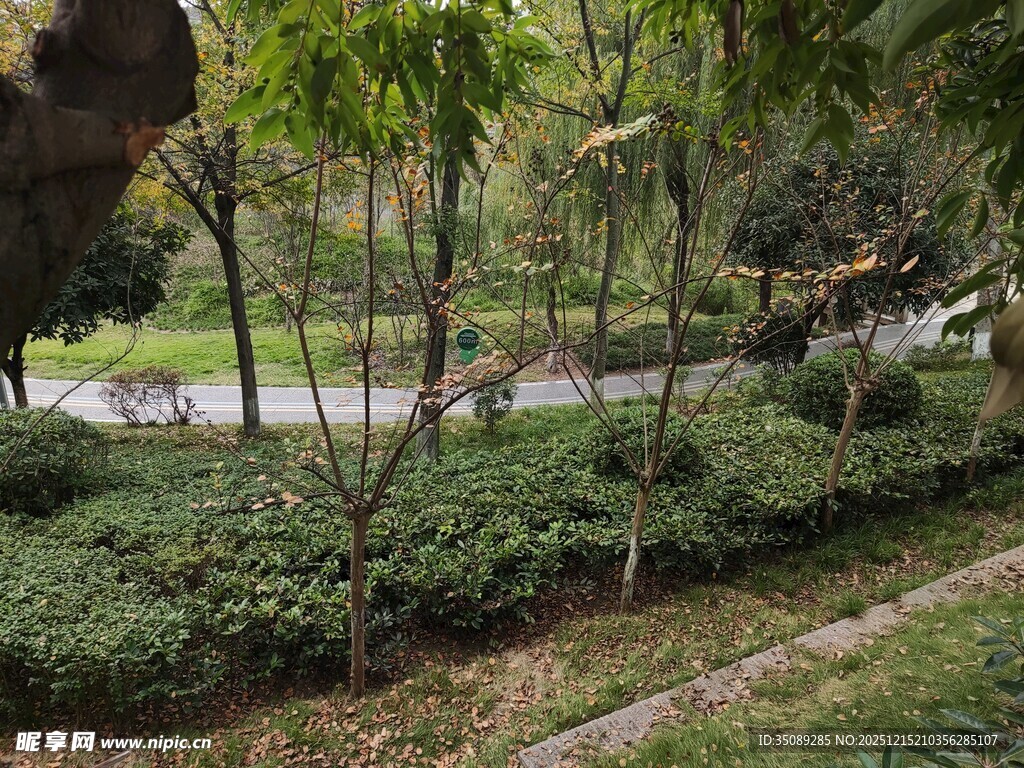 城市中的静谧绿植景观