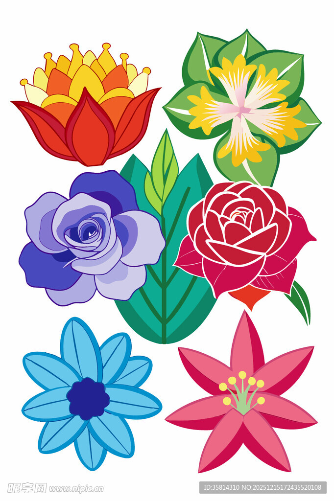 多彩花卉图案集合