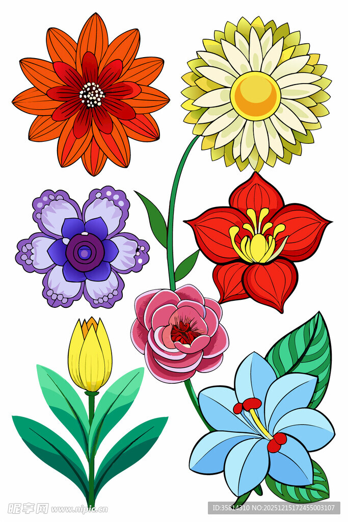 多彩手绘花卉图案集合
