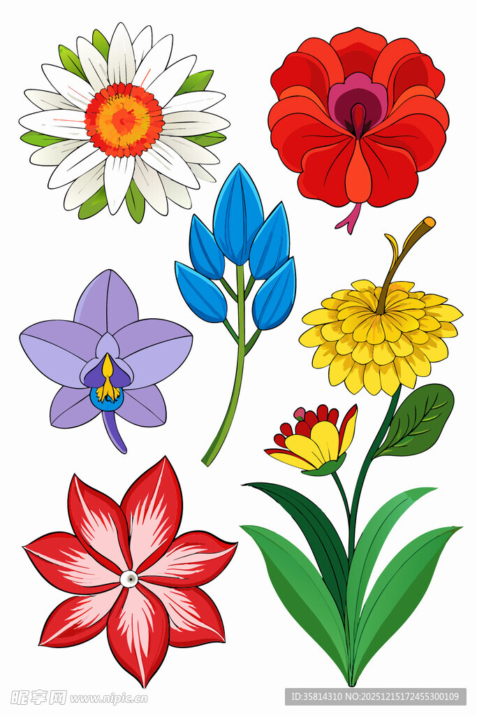 多彩手绘花卉图案集合
