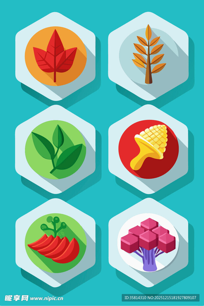 六边形蔬果图标集合