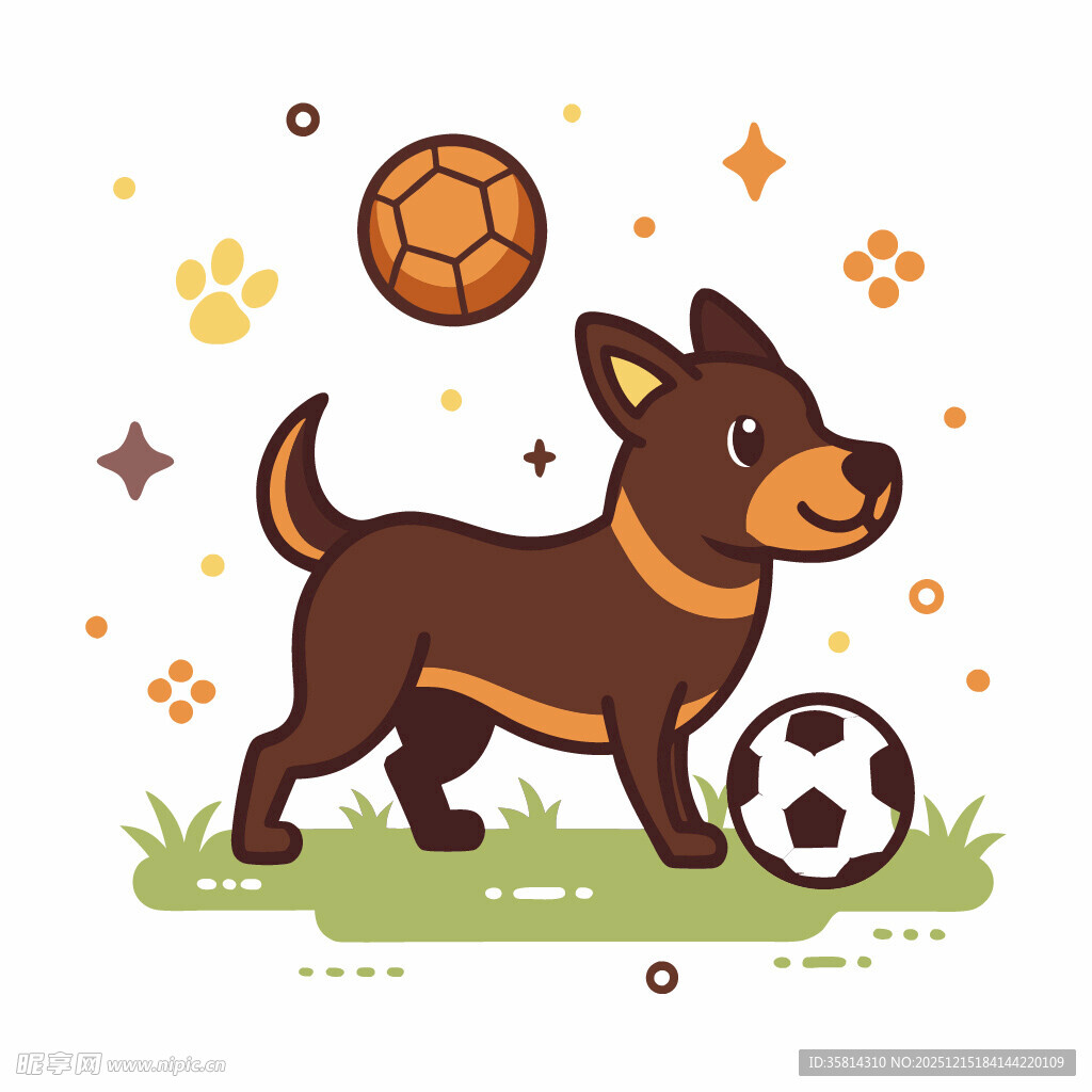 小狗与足球的欢乐时光