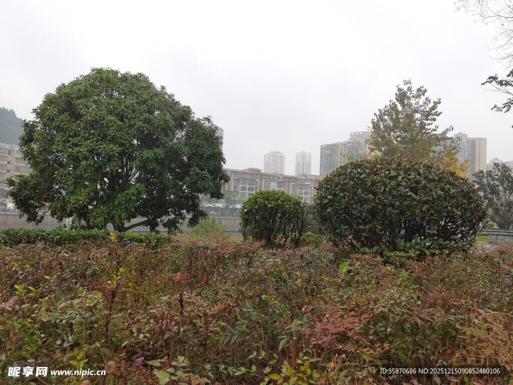 城市中的绿植景观