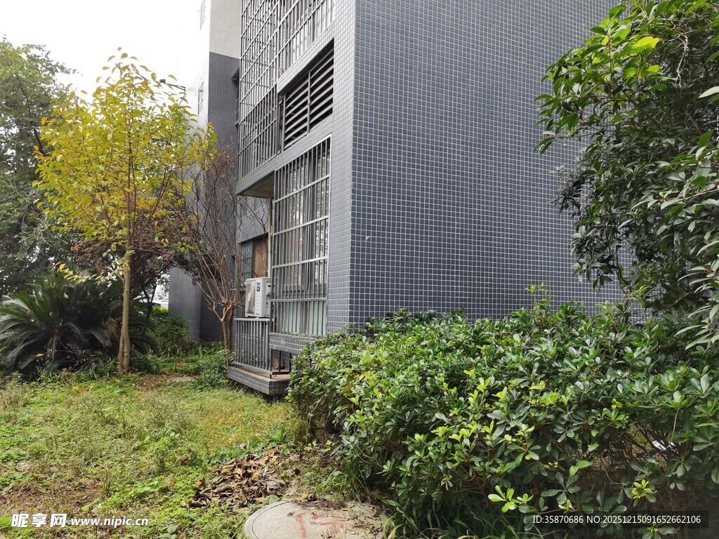 现代建筑旁的绿植景观