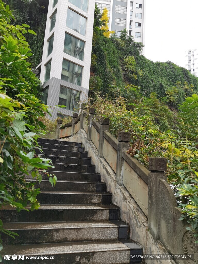 山间石阶旁的绿植与建筑