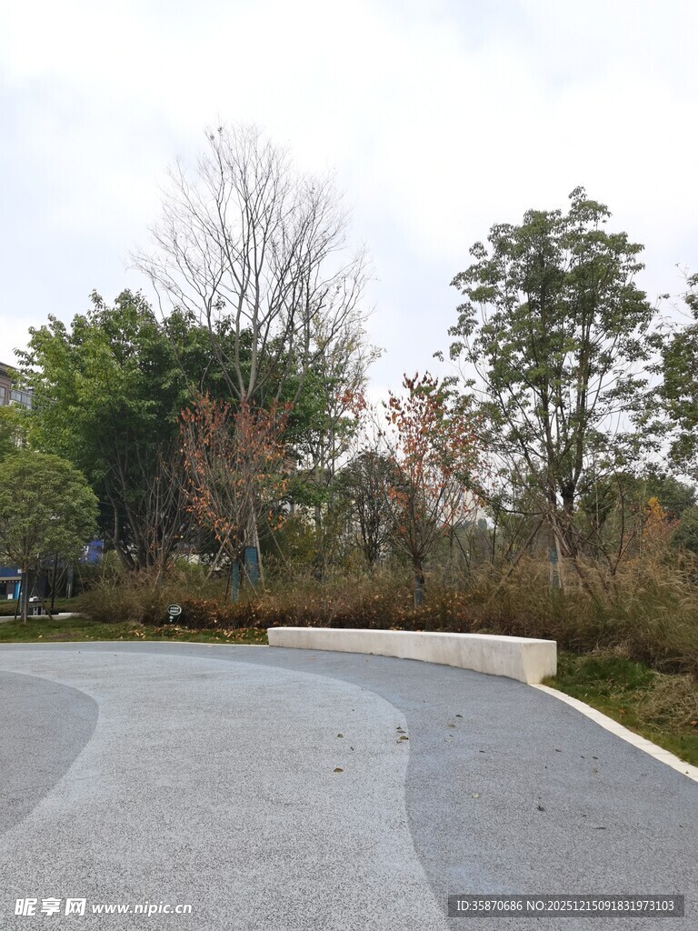 户外宁静的林间弯曲小道