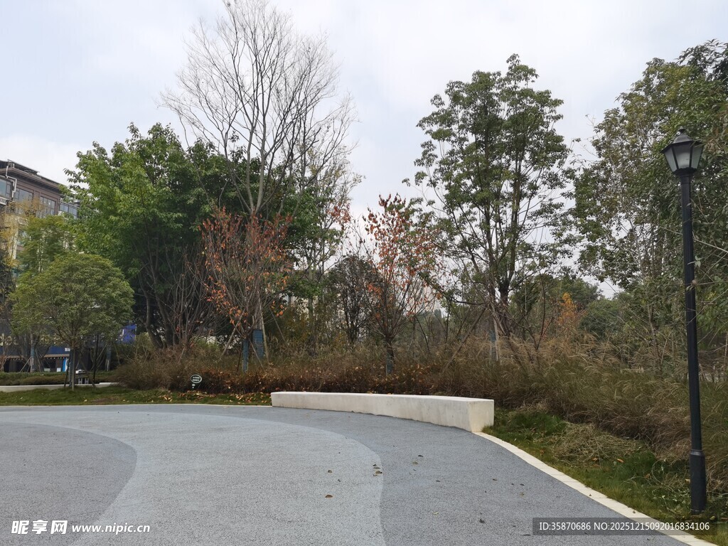 小区内的宽阔道路景观