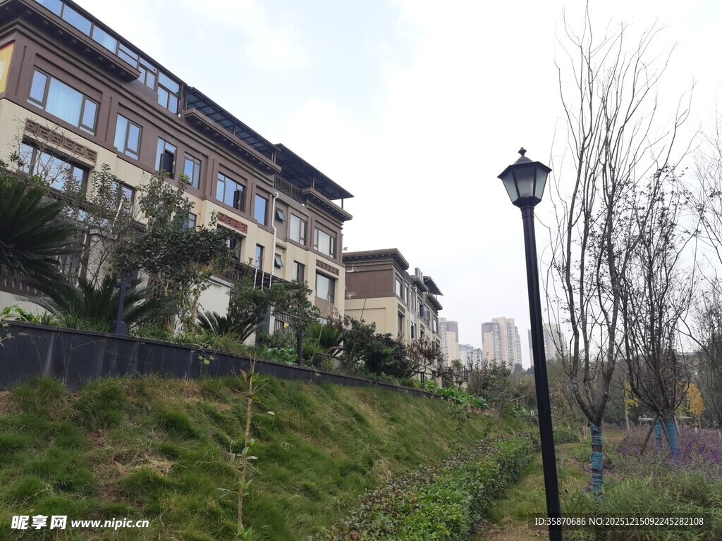 欧式风格住宅旁的路灯