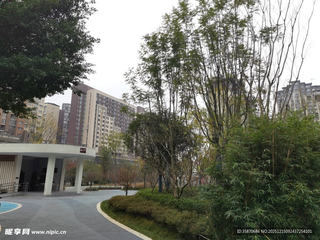 小区内的绿化景观道路