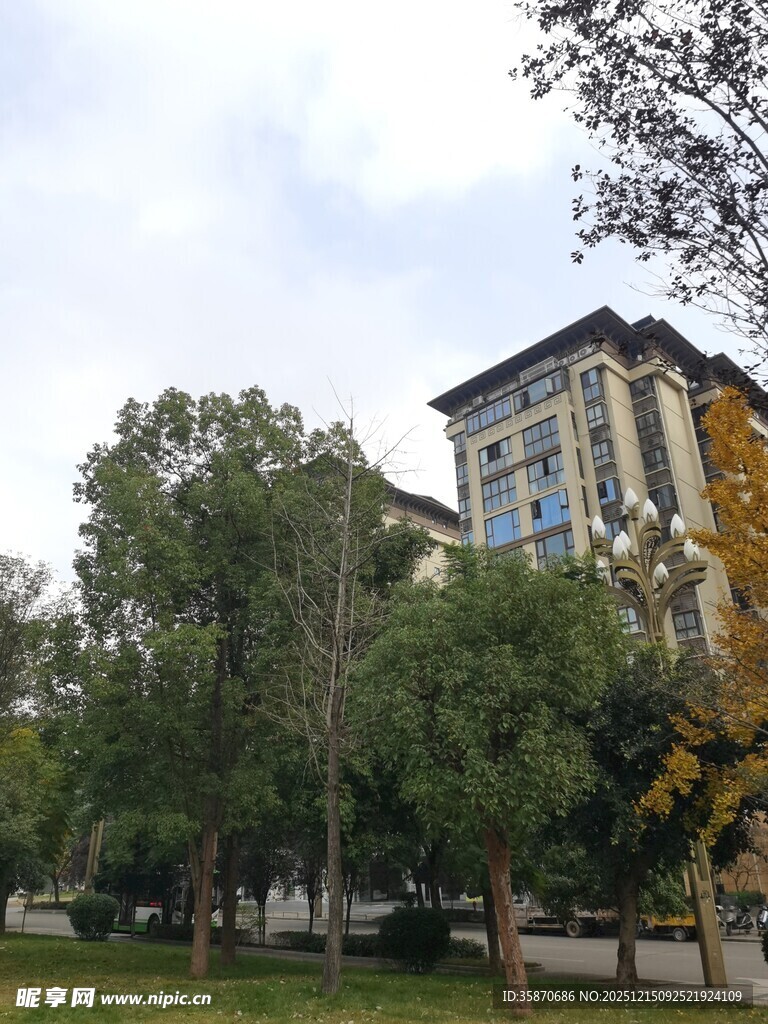 绿树环绕的多层建筑