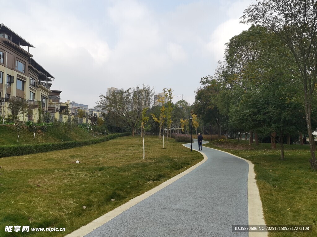 城市中的宁静林荫步道