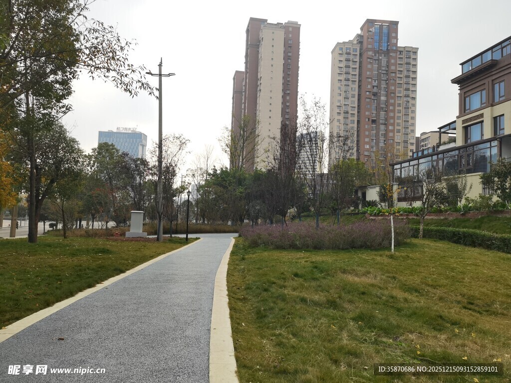 城市中的宁静步道与高楼