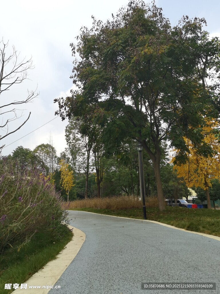 秋日林间蜿蜒小路