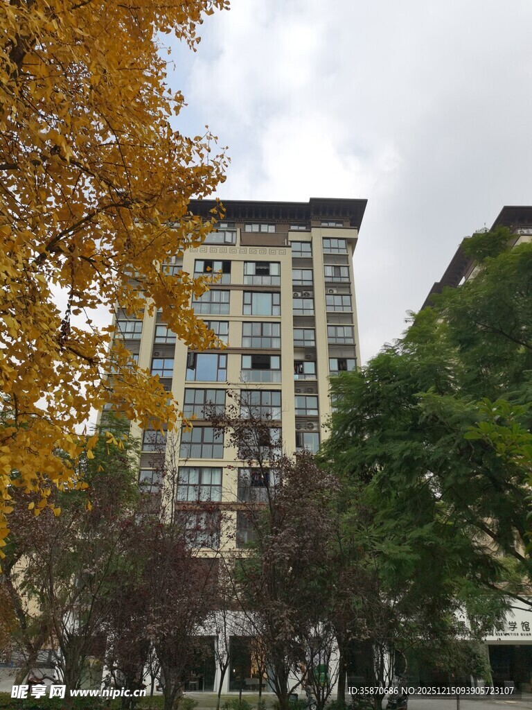 秋日城市中的高楼与树木